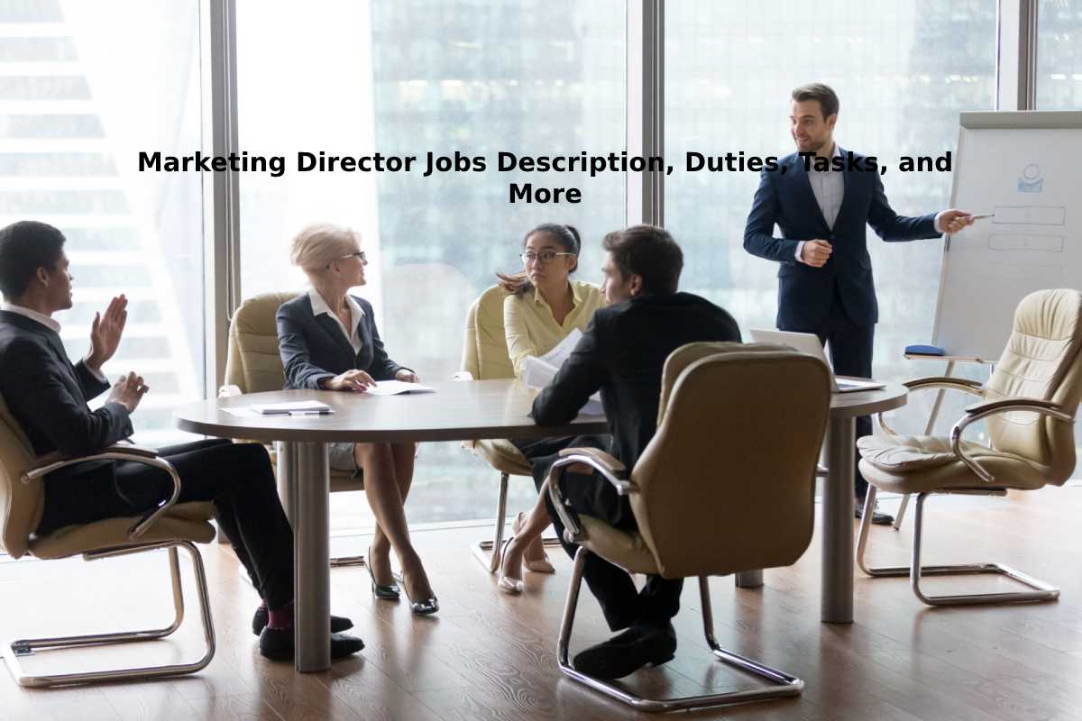 marketing director education jobs